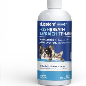 bluestem Dental Care Water Additive for Dogs & Cats – No Brushing Daily Teeth Cleaner – Pet Oral Rinse to Freshen Breath & Help Reduce Plaque – Flavorful & Easy Oral Hygiene (500 ml, Original)