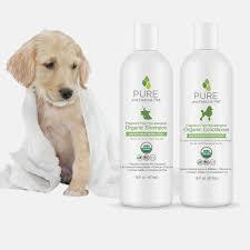 pet care